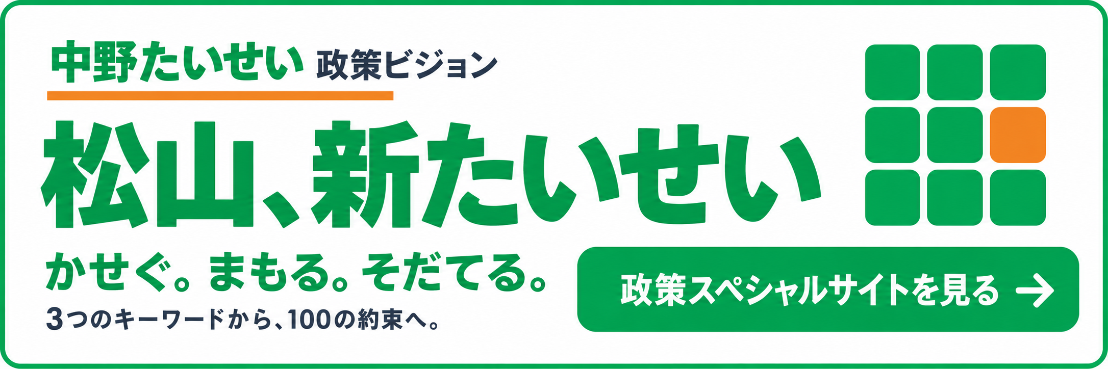 中野たいせい 政策ビジョン 松山、新たいせい 政策スペシャルサイトを見る