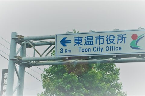 TOON CITY