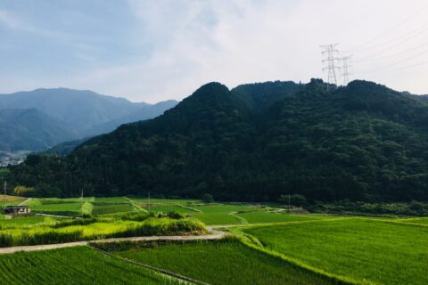 中山間地域