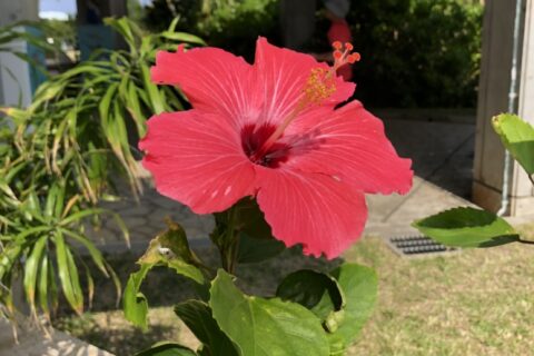 沖縄へ