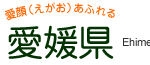 愛媛県議会　6月26日