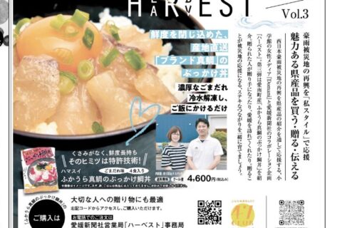 真鯛を応援しよう。
