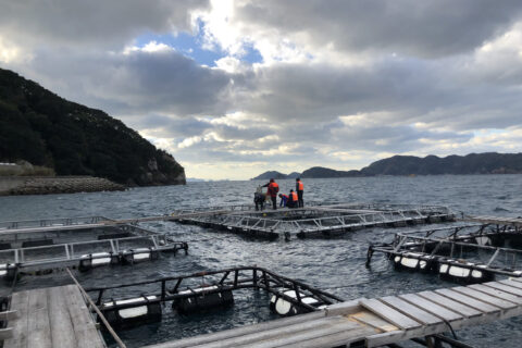 ローカル５G洋上研究