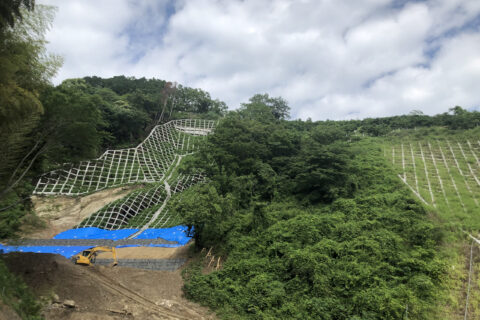 西日本豪雨災害からの復興