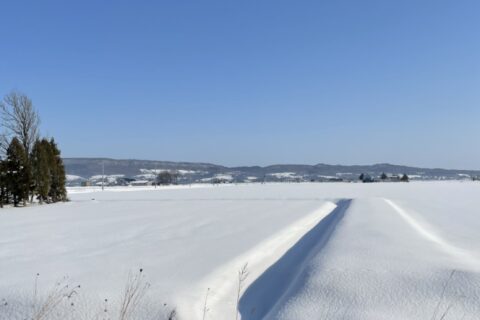 北海道レポート　＃２