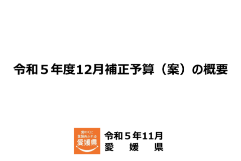 愛媛県令和５年度12月補正予算案
