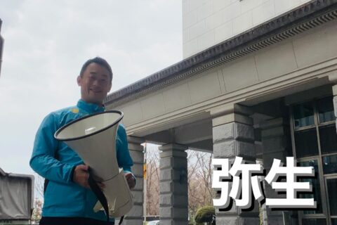 『スギ・クスノキは舟に、ヒノキは宮殿に』