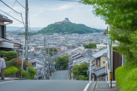 スポーツを応援｜する・みる・支えるが根づく松山へ