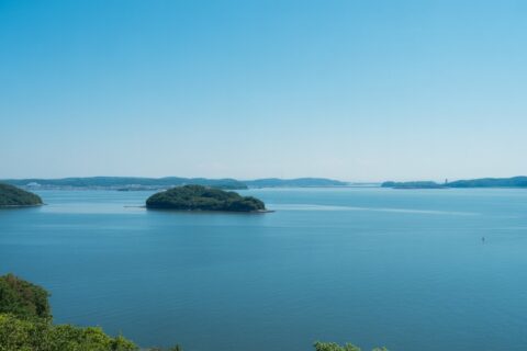 自然と環境を守る｜次世代に引き継ぐ美しい松山