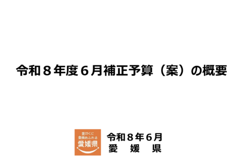 愛媛県　令和８年度６月補正予算案について